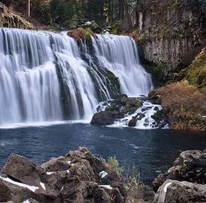 Meet your Posher, Paula